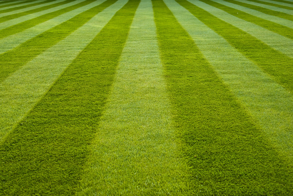 Freshly mown lawn with crisp mowing stripes